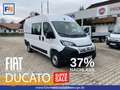 Fiat Ducato KASTENWAGEN 35 L2H2 140 MT Bianco - thumbnail 1