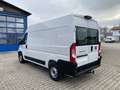Fiat Ducato KASTENWAGEN 35 L2H2 140 MT Bianco - thumbnail 11