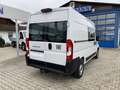 Fiat Ducato KASTENWAGEN 35 L2H2 140 MT Bianco - thumbnail 5