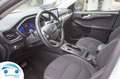 Ford Kuga 2.5 DURATEC HYBRIDE 190 PK TITANIUM Blanc - thumbnail 12