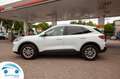 Ford Kuga 2.5 DURATEC HYBRIDE 190 PK TITANIUM Blanc - thumbnail 26