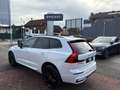 Volvo XC60 T6 AWD PHEV 18,8kWh Plus Black Edition Aut. Weiß - thumbnail 3