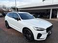Volvo XC60 T6 AWD PHEV 18,8kWh Plus Black Edition Aut. Weiß - thumbnail 1