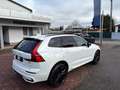 Volvo XC60 T6 AWD PHEV 18,8kWh Plus Black Edition Aut. Weiß - thumbnail 2