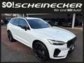 Volvo XC60 T6 AWD PHEV 18,8kWh Plus Black Edition Aut. Weiß - thumbnail 1
