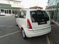 Lancia MUSA Musa 1.4 Platino Ecochic GPL Bianco - thumbnail 7