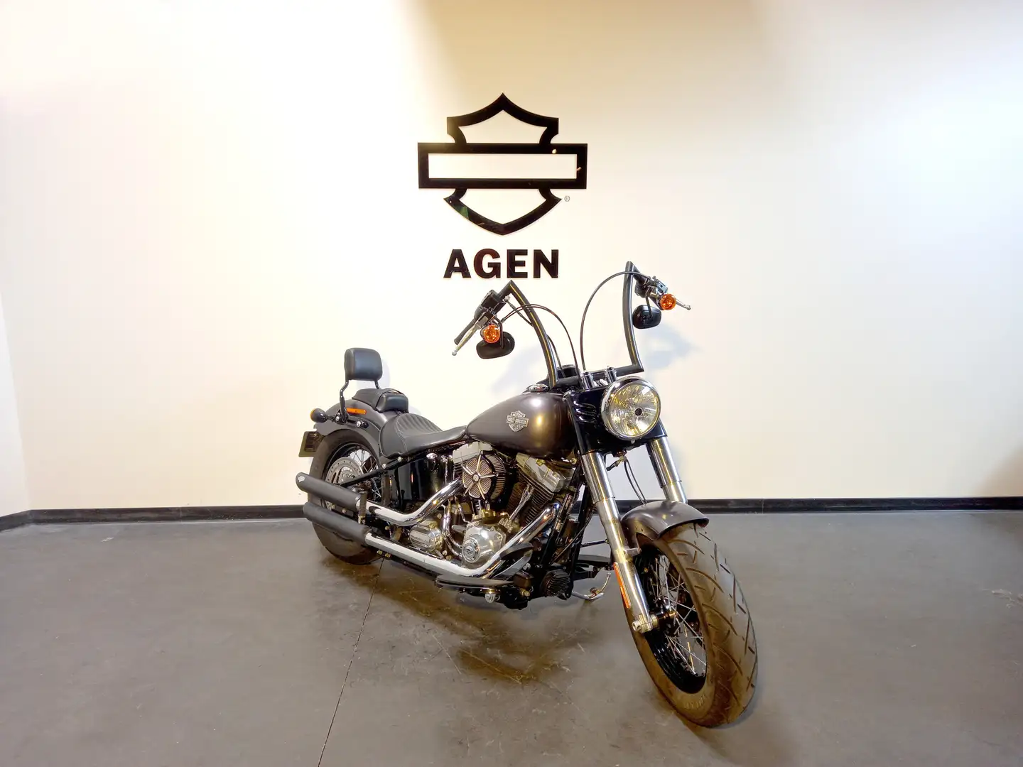 Harley-Davidson Softail Slim - 1
