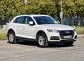 Audi Q5 40 TDI quattro Weiß - thumbnail 1