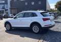 Audi Q5 40 TDI quattro Weiß - thumbnail 3