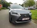 Lexus NX 300h NX 300h Executive-Line Сірий - thumbnail 2