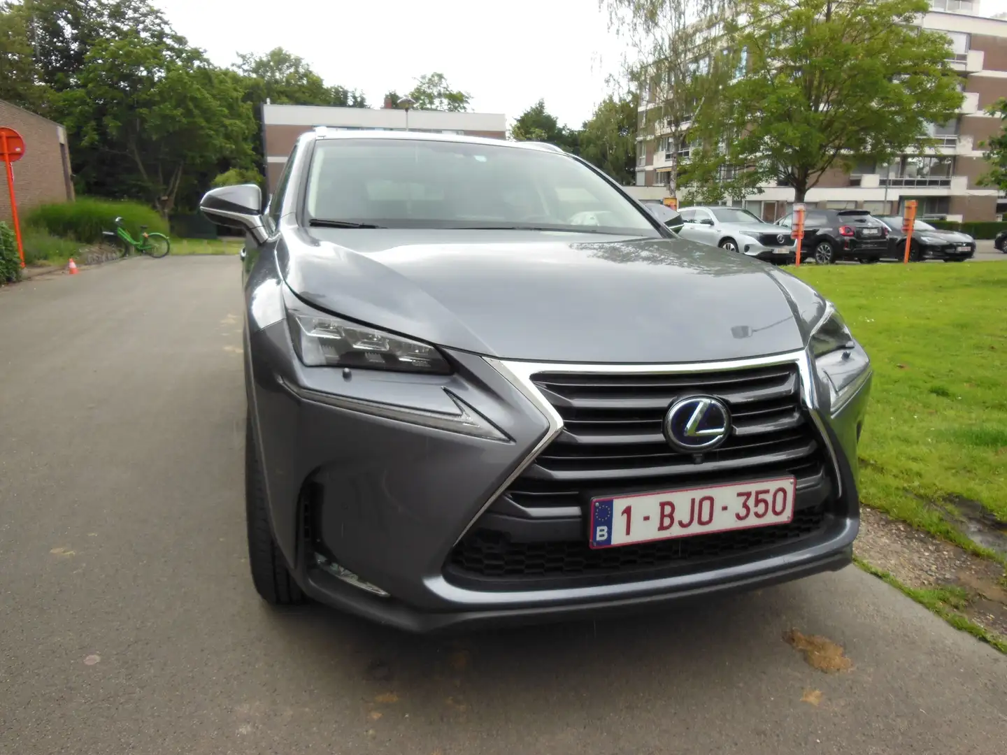 Lexus NX 300h NX 300h Executive-Line Сірий - 2