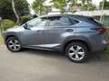 Lexus NX 300h NX 300h Executive-Line Сірий - thumbnail 1