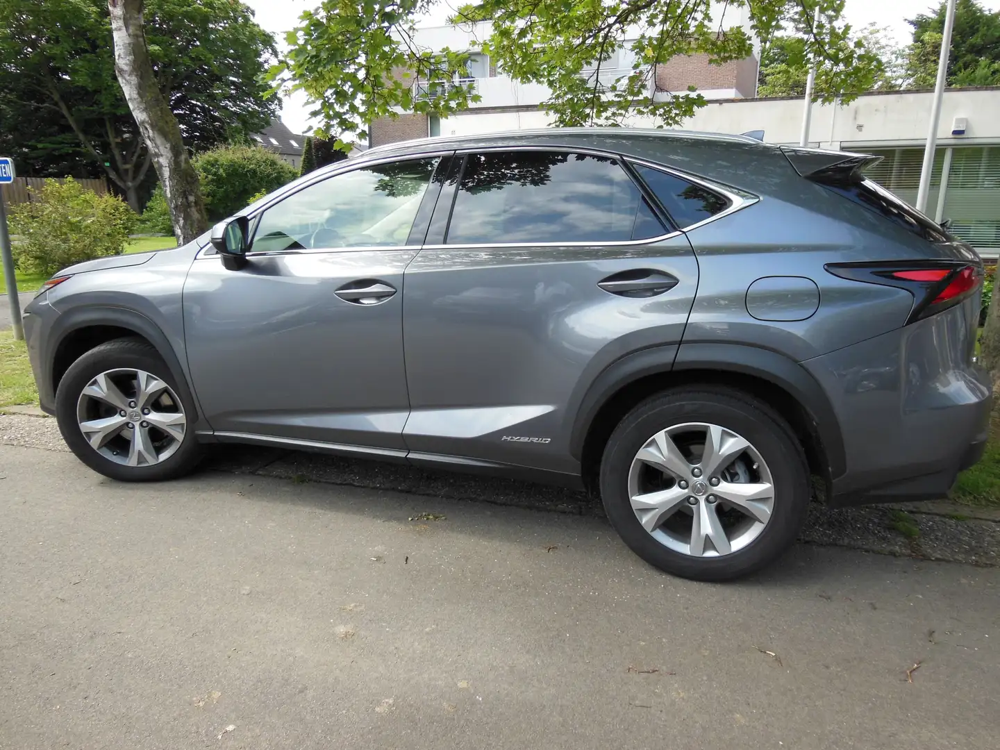Lexus NX 300h NX 300h Executive-Line Сірий - 1