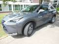 Lexus NX 300h NX 300h Executive-Line Сірий - thumbnail 4