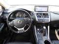 Lexus NX 300h NX 300h Executive-Line Сірий - thumbnail 11
