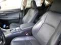 Lexus NX 300h NX 300h Executive-Line Сірий - thumbnail 15