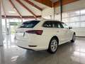 Skoda Octavia Style 2,0 TDI Weiß - thumbnail 4