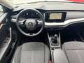 Skoda Octavia Style 2,0 TDI Weiß - thumbnail 11