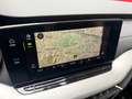 Skoda Octavia Style 2,0 TDI Weiß - thumbnail 13