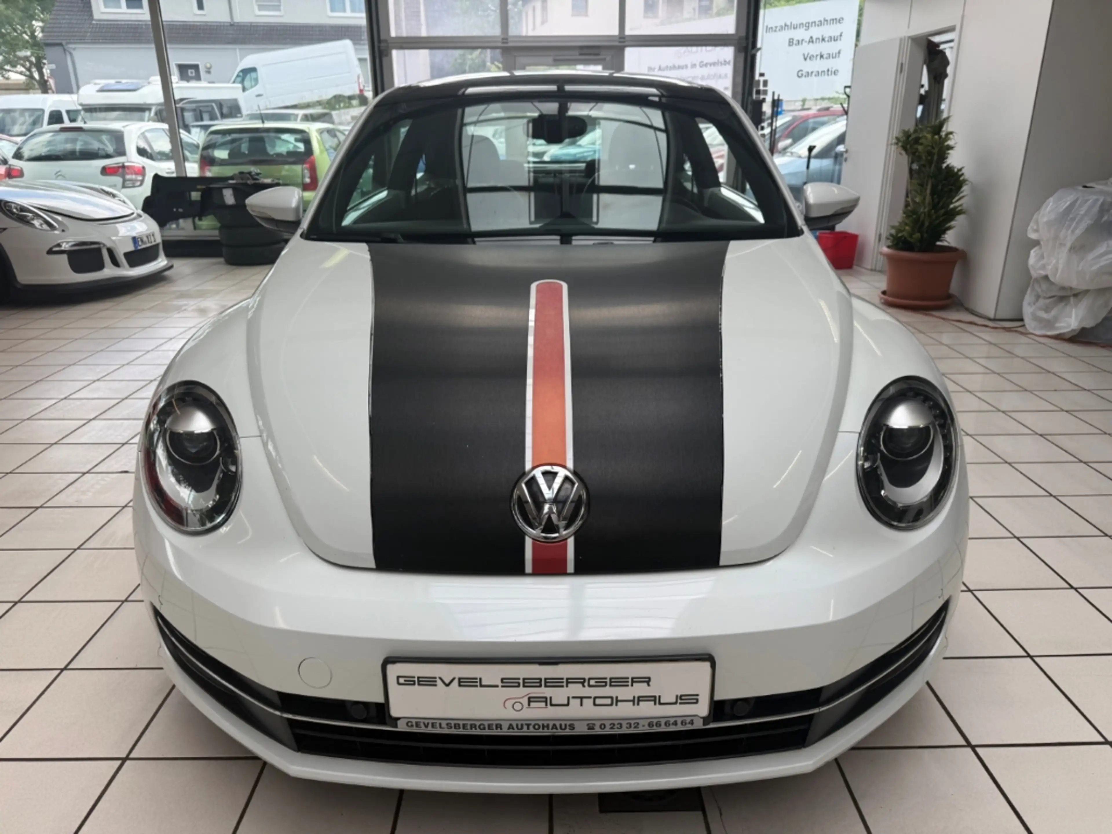 Volkswagen Beetle Design 18 Zoll Panoramadach Leder scheckheft — photo 2