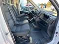 Fiat Ducato 2.3 MJT 120CV PC-TN FURGONE L1 H1 E6d temp Weiß - thumbnail 12