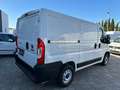 Fiat Ducato 2.3 MJT 120CV PC-TN FURGONE L1 H1 E6d temp Weiß - thumbnail 5