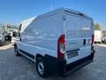 Fiat Ducato 2.3 MJT 120CV PC-TN FURGONE L1 H1 E6d temp Weiß - thumbnail 7