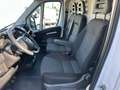 Fiat Ducato 2.3 MJT 120CV PC-TN FURGONE L1 H1 E6d temp Weiß - thumbnail 11