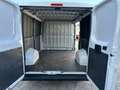 Fiat Ducato 2.3 MJT 120CV PC-TN FURGONE L1 H1 E6d temp Weiß - thumbnail 10
