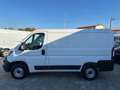 Fiat Ducato 2.3 MJT 120CV PC-TN FURGONE L1 H1 E6d temp Weiß - thumbnail 8