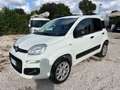 Fiat Panda Panda 0.9 TwinAir Turbo S&S 4x4 Pop Van 2 posti Blanco - thumbnail 10
