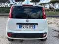 Fiat Panda Panda 0.9 TwinAir Turbo S&S 4x4 Pop Van 2 posti Blanco - thumbnail 5