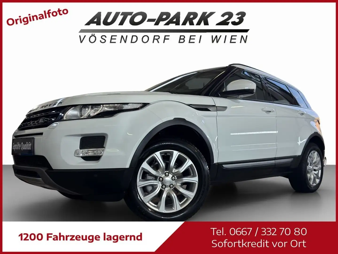 Land Rover Range Rover Evoque 2.2*190PS**LEDER*PANORAMA*MOD2016 Weiß - 1