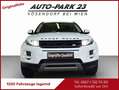 Land Rover Range Rover Evoque 2.2*190PS**LEDER*PANORAMA*MOD2016 Weiß - thumbnail 4