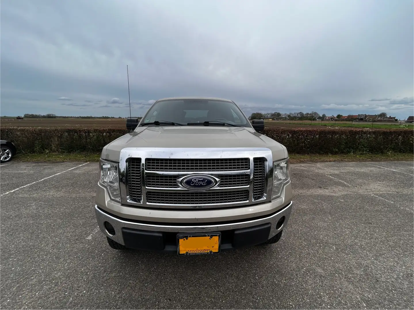 Ford F 150 XLT Bej - 2
