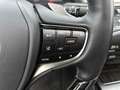 Lexus ES 300 300h President Line | Mark Levinson | 360 Camera | Gris - thumbnail 29