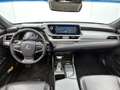 Lexus ES 300 300h President Line | Mark Levinson | 360 Camera | Gris - thumbnail 4