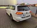 Volkswagen Golf Variant Golf Variant 1.6 TDI AHK. R-Line - thumbnail 3