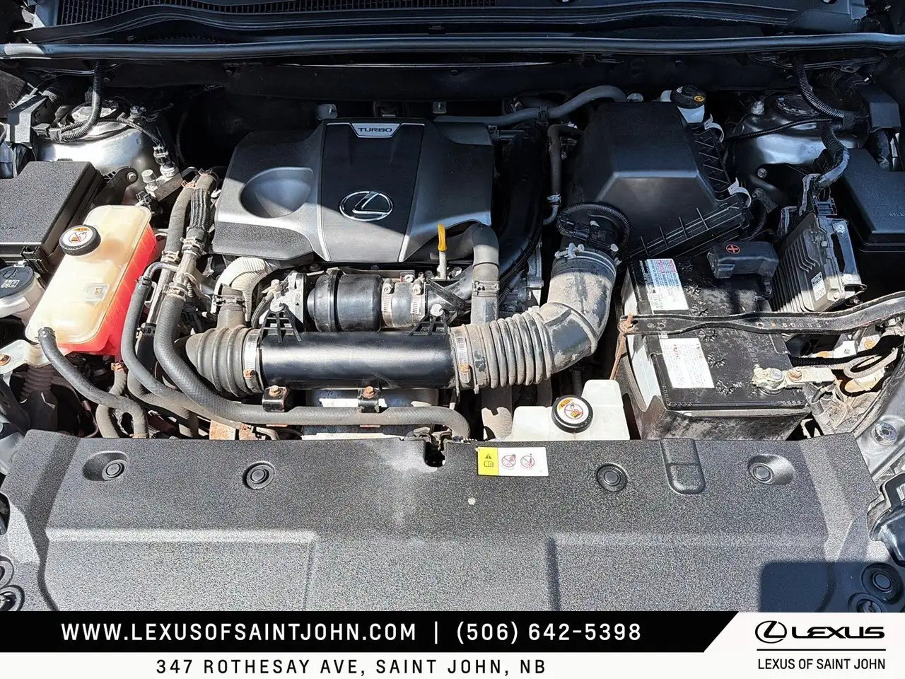 Lexus NX fotografie Lexus NX