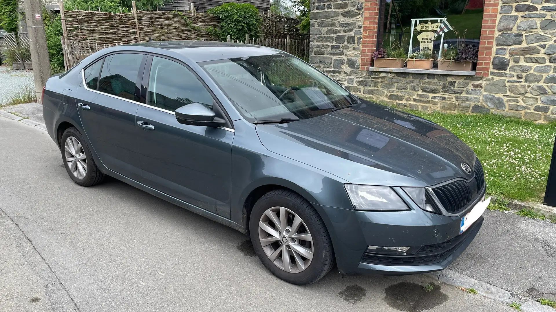 Skoda Octavia 1.0 TSI Ambition DSG (EU6.2) Blauw - 1