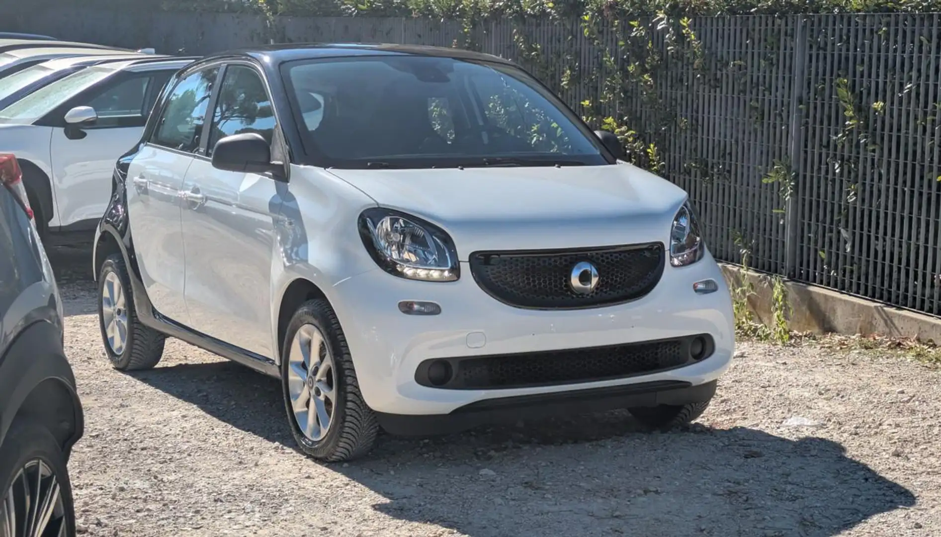 smart forFour 1.0cc 71cv CRUISE CONTROL CERCHI IN LEGA Bianco - 2