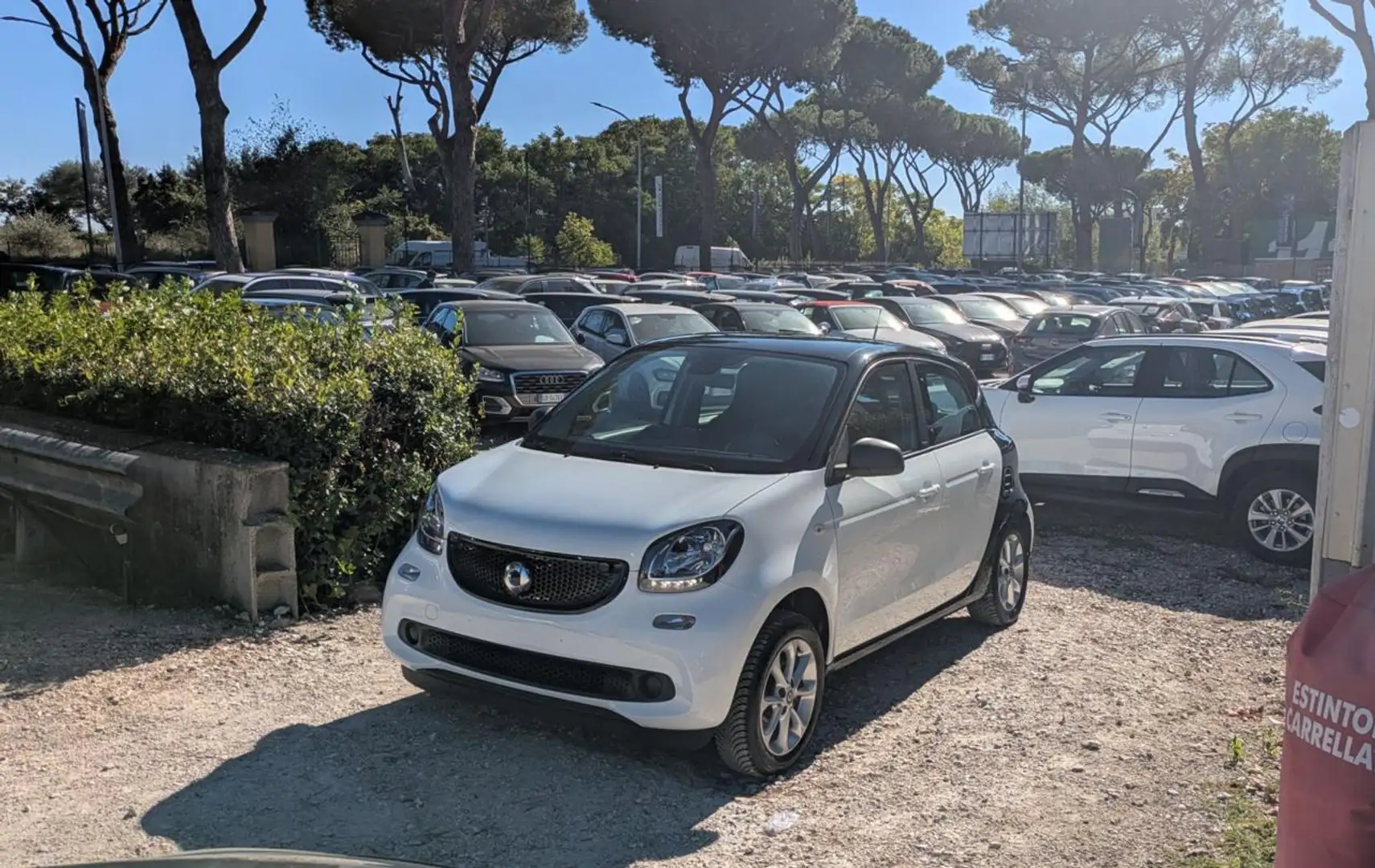 smart forFour 1.0cc 71cv CRUISE CONTROL CERCHI IN LEGA Bianco - 1