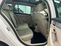 Skoda Octavia Octavia Wagon 2.0 tdi cr Executive 4x4 150cv Bianco - thumbnail 14