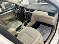 Skoda Octavia Octavia Wagon 2.0 tdi cr Executive 4x4 150cv Bianco - thumbnail 12
