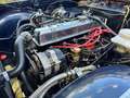 Triumph TR5 TR250 Bleu - thumbnail 21