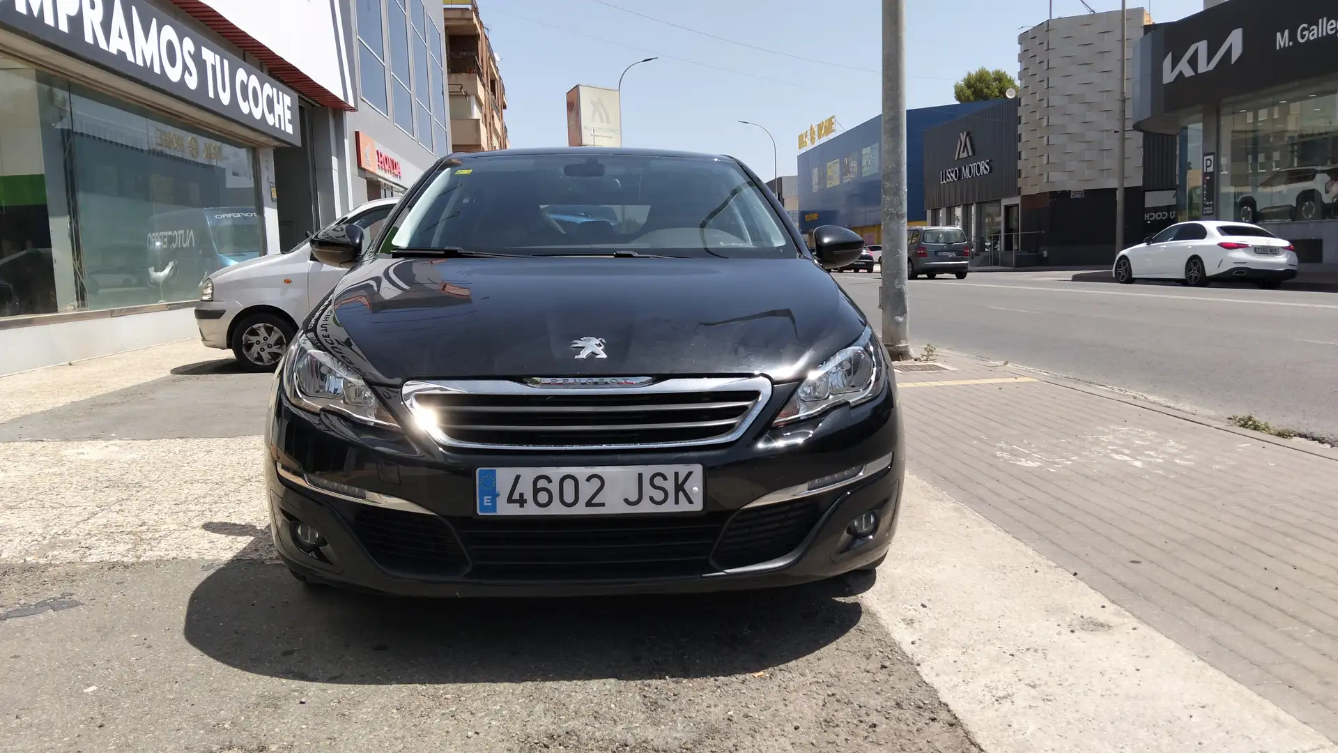 Peugeot 308 SW 1.6 BlueHDi Business Line 120 Negro - 2