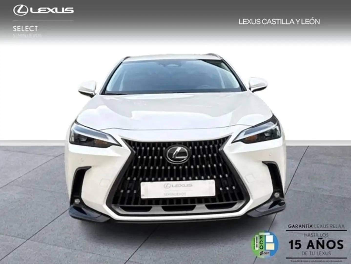 Lexus NX 450h+ 4WD PREMIUM+ Blanco - 2