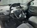 Lancia Ypsilon 1.2 8v Silver esp ecochic Gpl 69cv Bianco - thumbnail 15