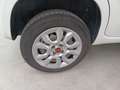 Fiat Panda van 0.9 nat.p. 80cv Pop 2p.ti serie 3 E6d-temp Blanc - thumbnail 12