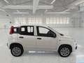 Fiat Panda van 0.9 nat.p. 80cv Pop 2p.ti serie 3 E6d-temp Blanc - thumbnail 3